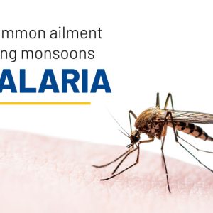 Understanding Malaria: Symptoms, Diagnosis, and Prevention