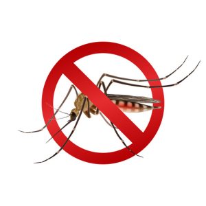 Understanding the Difference Between Malaria and Dengue