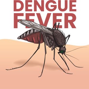 A Guide on Dengue Fever (DF) vs. Dengue Hemorrhagic Fever (DHF)