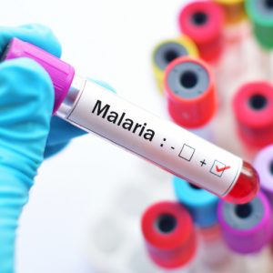 A Complete Guide to Understanding Malaria